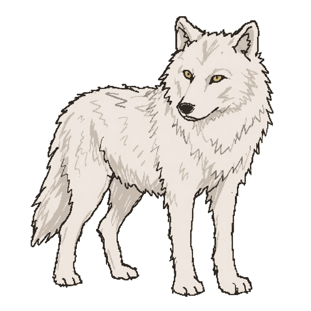 Archive illustration of The white alpha female of the Canyon Pack, Gray wolf.